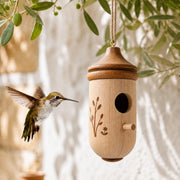 Vogelhuisje eikel kolibrie