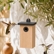 Vogelhuisje versterkt predator-resistant