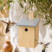 Vogelhuisje van observatie