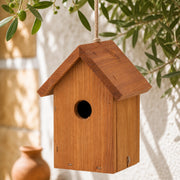 Vogelhuisje Douglas-spar compact