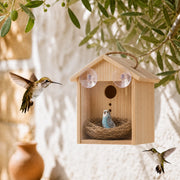 Vogelhuisje van observatie met venster en suction-cups