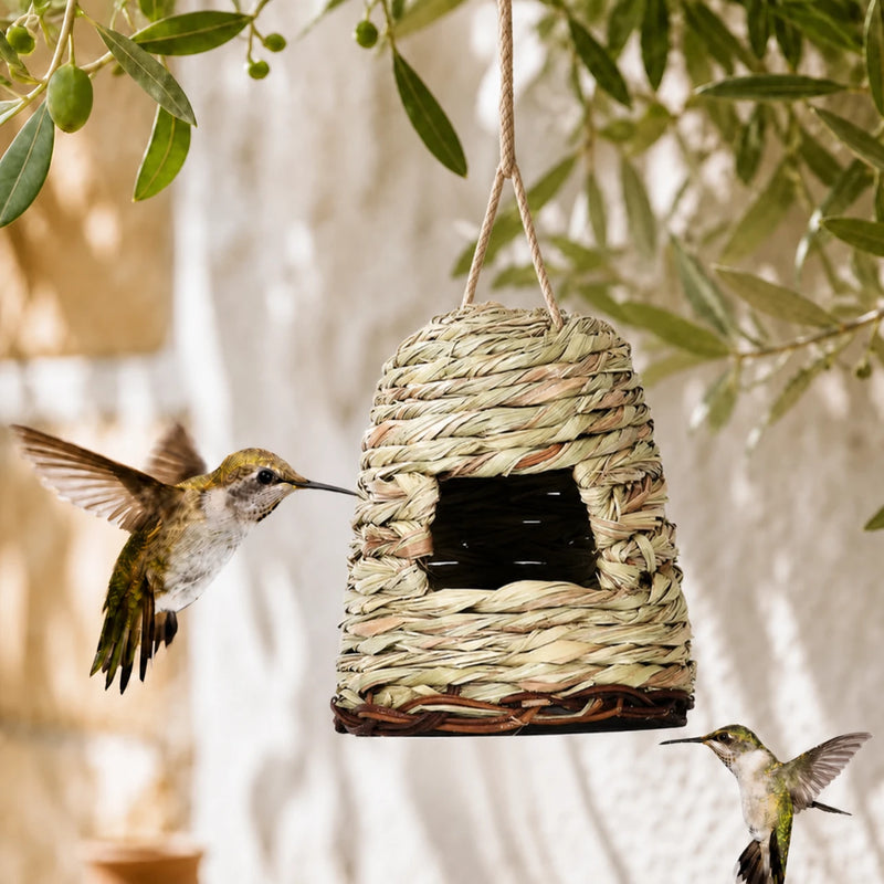 Vogelhuisje observatie formaat 15 × 16 cm