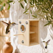 Vogelhuisje observatie van hout met wand transparant