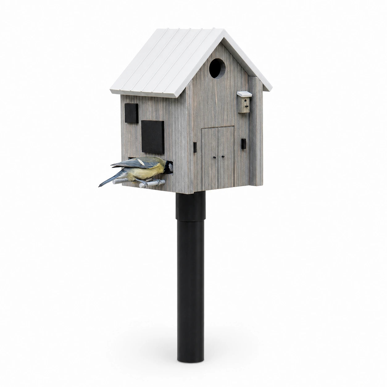 Vogelhuisje en voederbak noords — foto 2