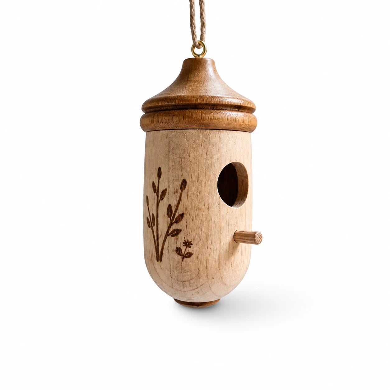 Vogelhuisje eikel kolibrie — foto 2