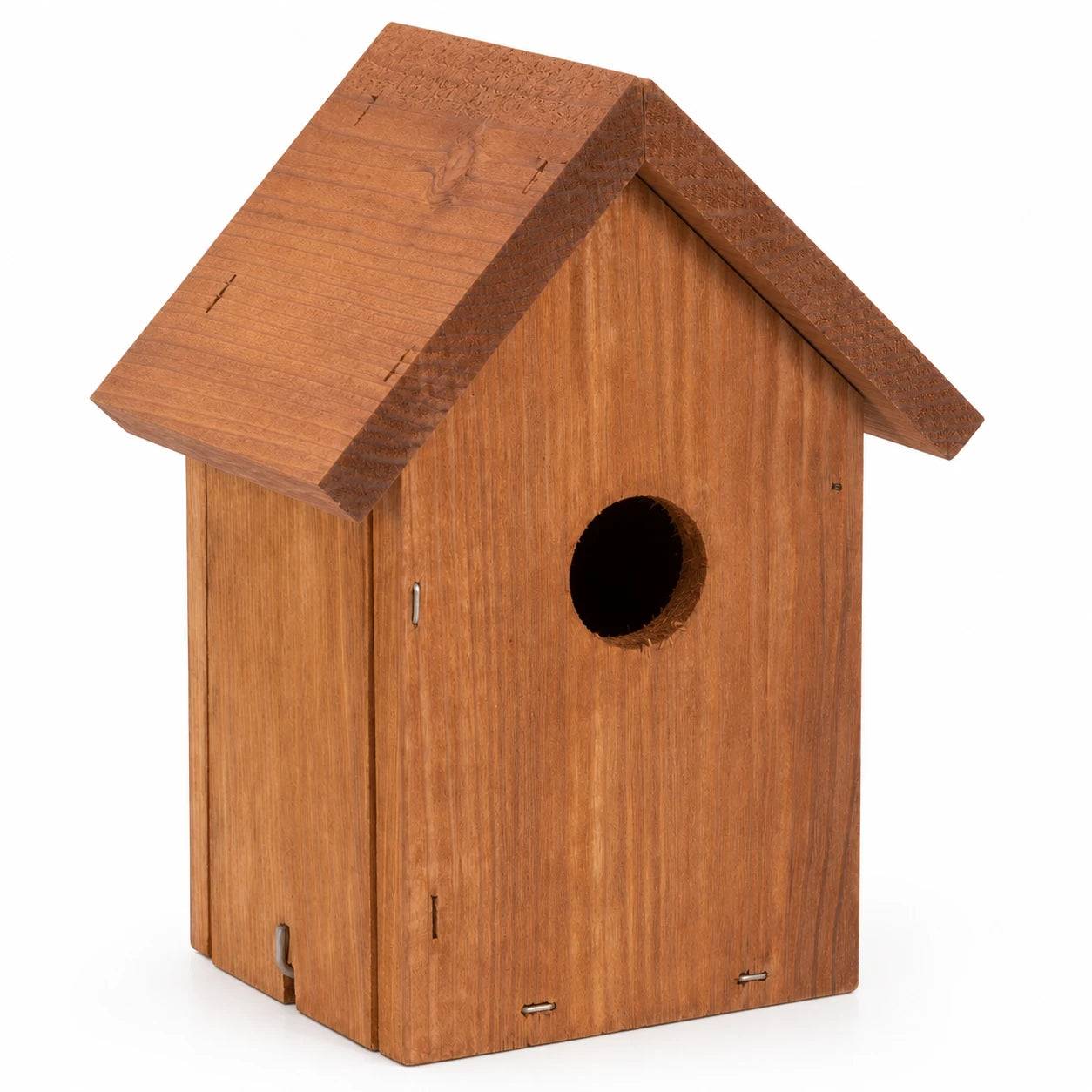 Vogelhuisje Douglas-spar compact — foto 3