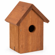 Vogelhuisje Douglas-spar compact — foto 3