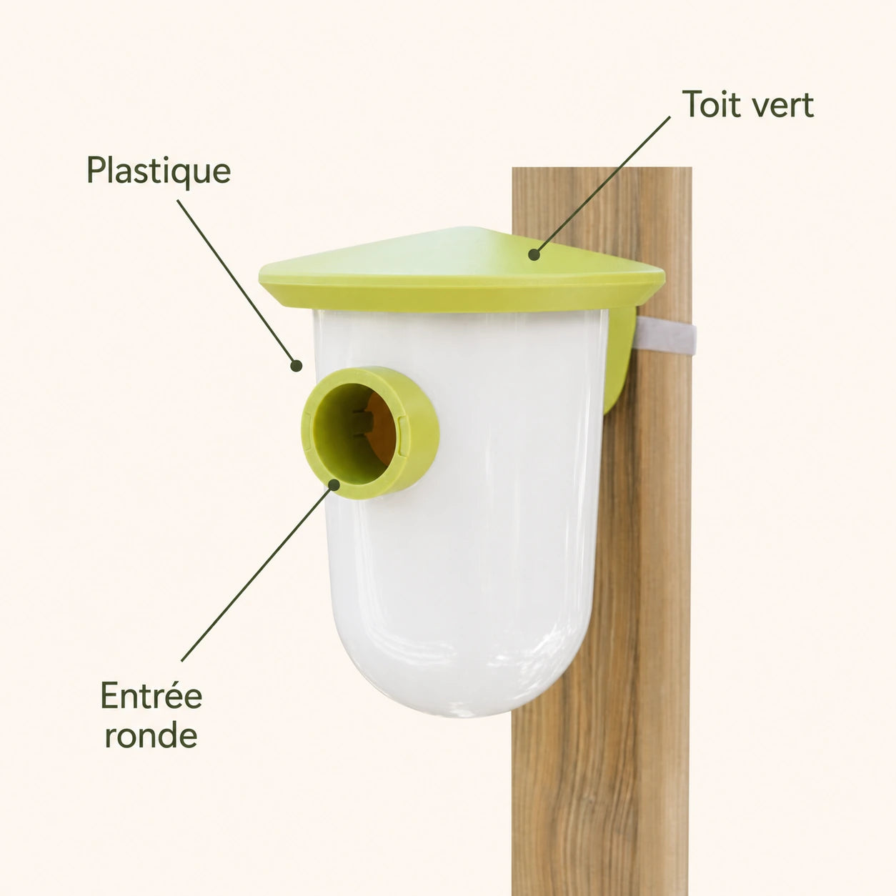 Vogelhuisje groen — foto 4