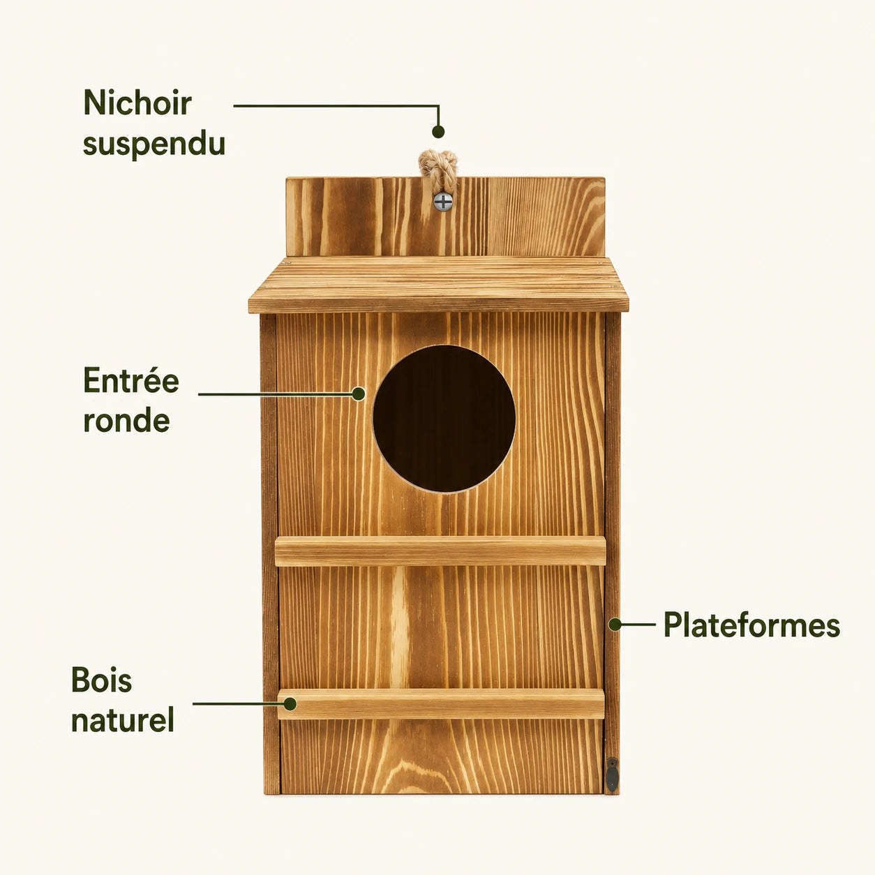 Vogelhuisje observatie hout — foto 3