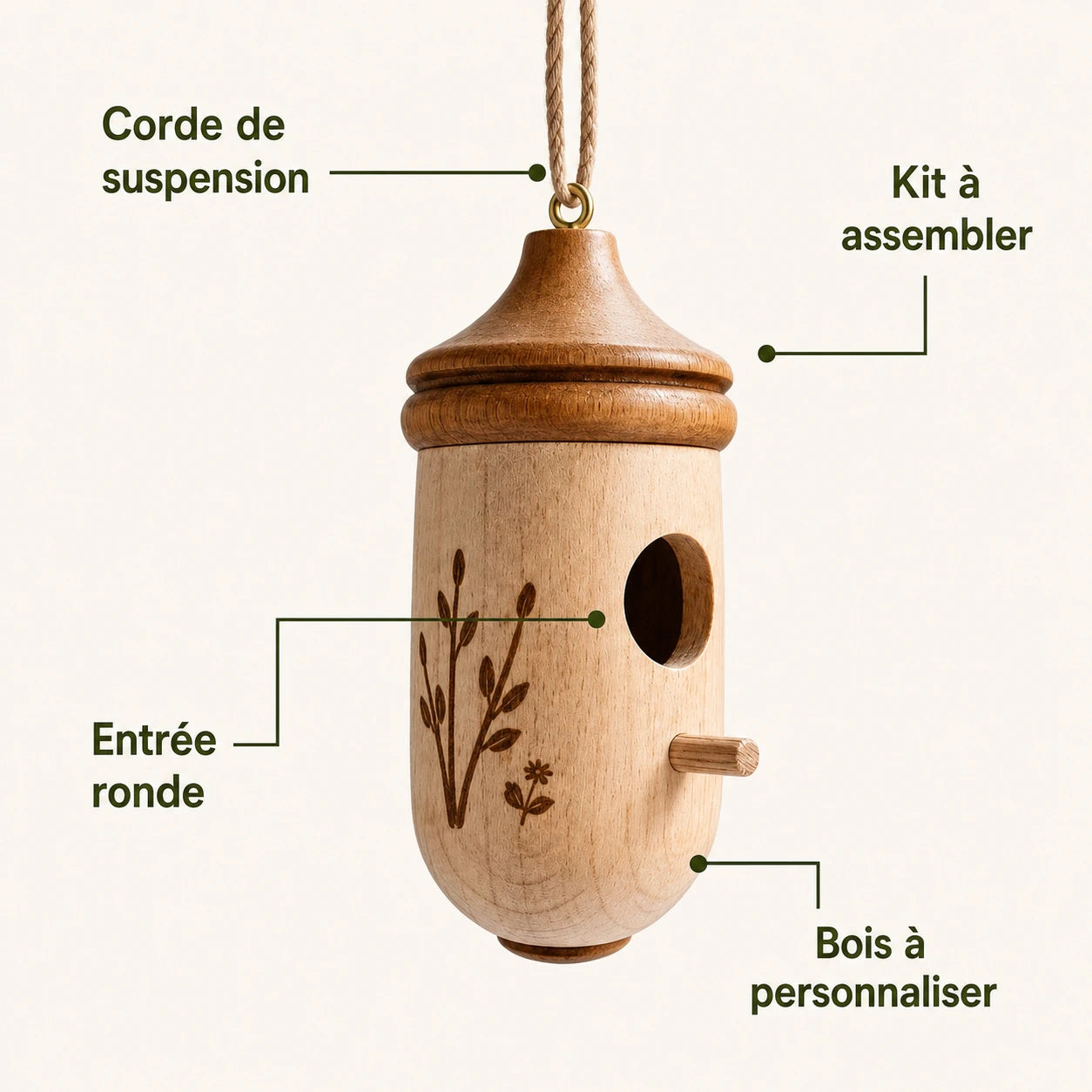 Vogelhuisje eikel kolibrie — foto 3