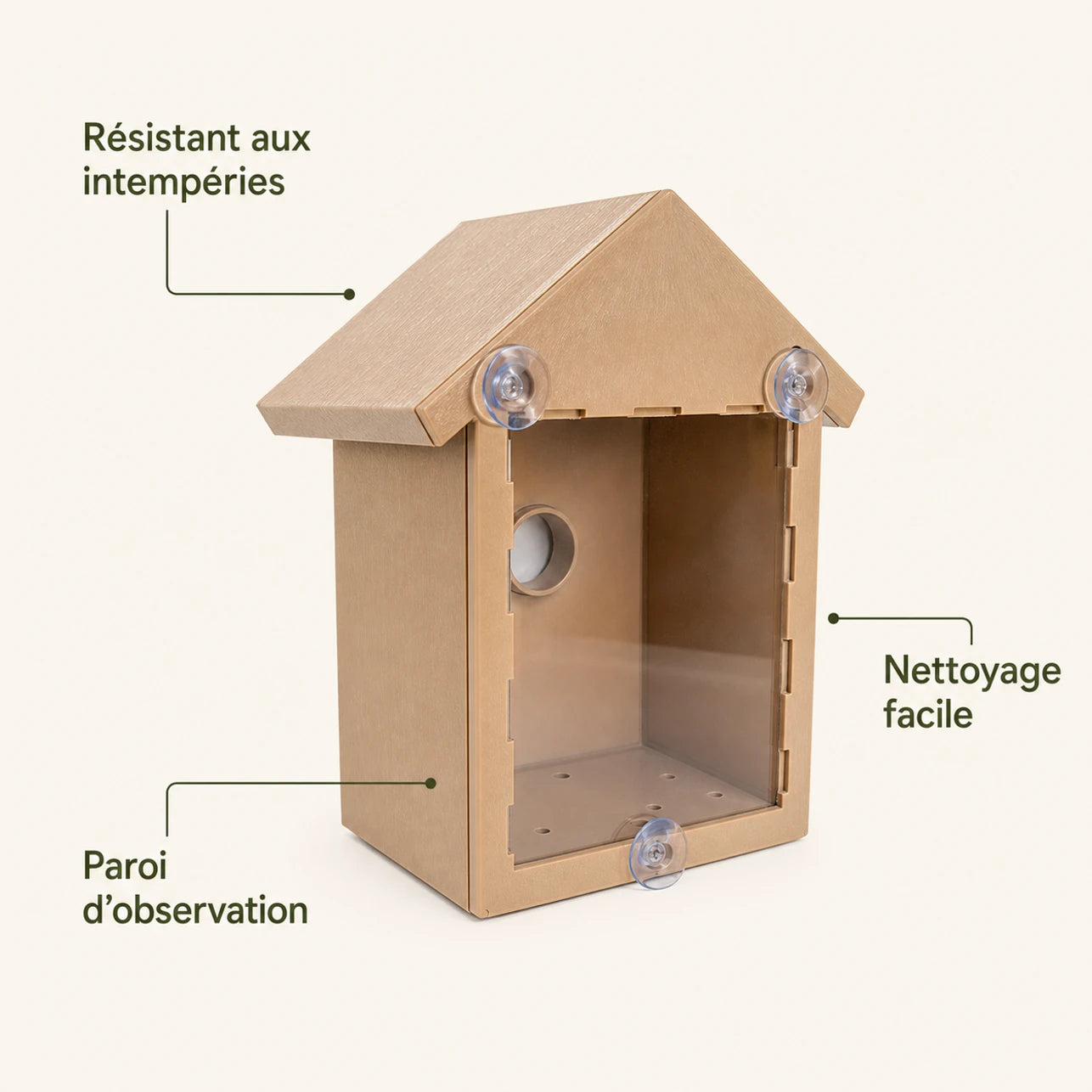 Vogelhuisje observatie — foto 4