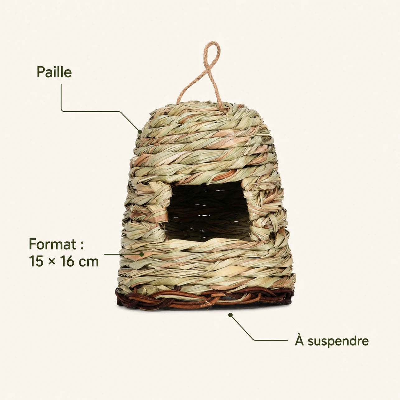Vogelhuisje observatie formaat 15 × 16 cm — foto 4